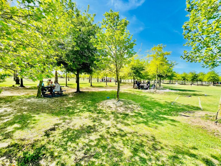 Winelands Light Railway