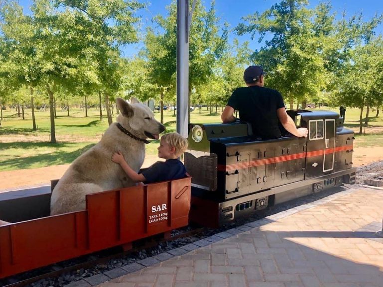 Winelands Light Railway