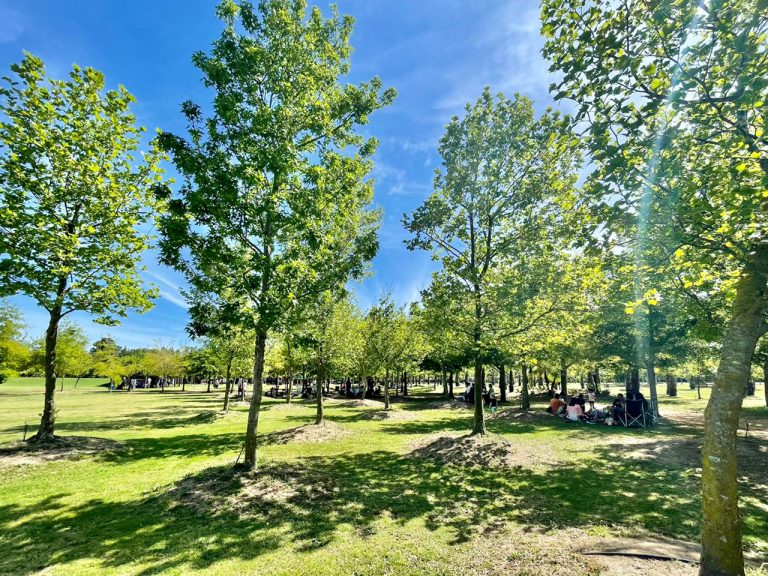 Winelands Light Railway