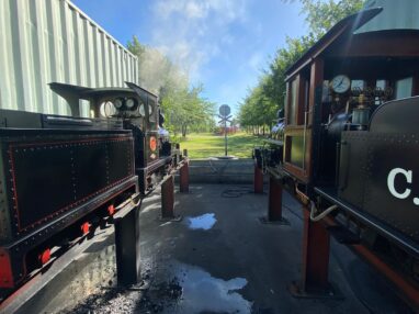 Winelands Light Railway | Steam Driver Experience