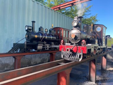 Winelands Light Railway | Steam Driver Experience